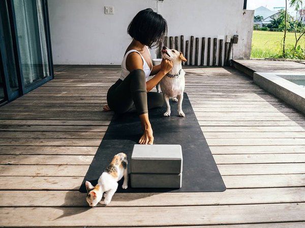 Offrir un animal en cadeau : une idée insolite